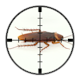 Targetted London Cockroach Control