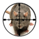 Targetted London Rat Control